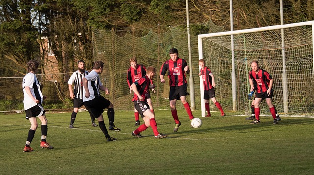 疑會全力以 疑會全力以