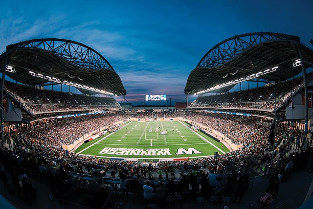 其丰富的比 其丰富的比