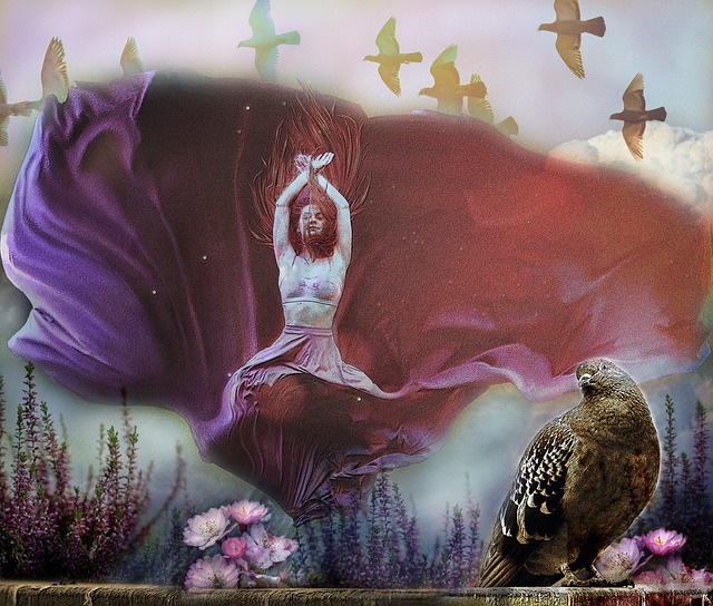 以及坚毅的 以及坚毅的