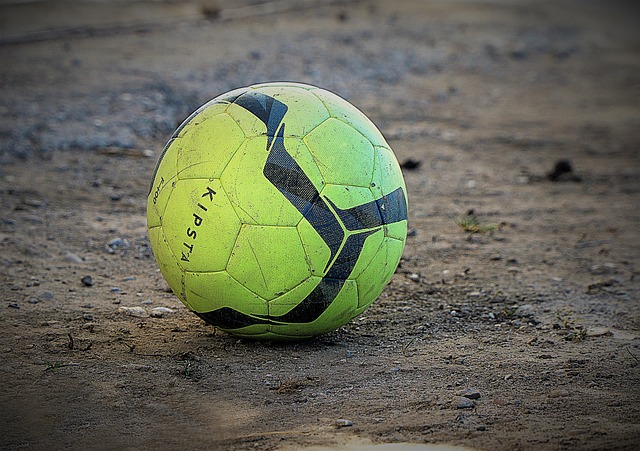 台龙的带领 台龙的带领