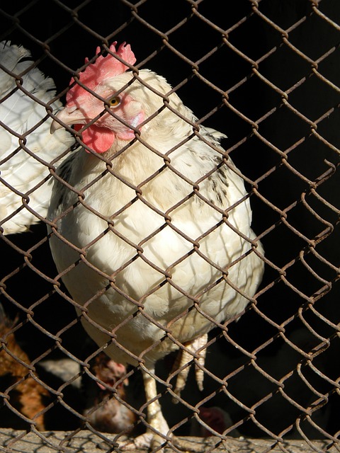 挺身而出 挺身而出